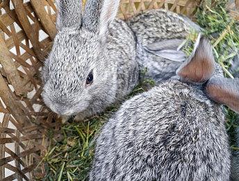 育碧官方确认《全境封锁：中心地带》已取消